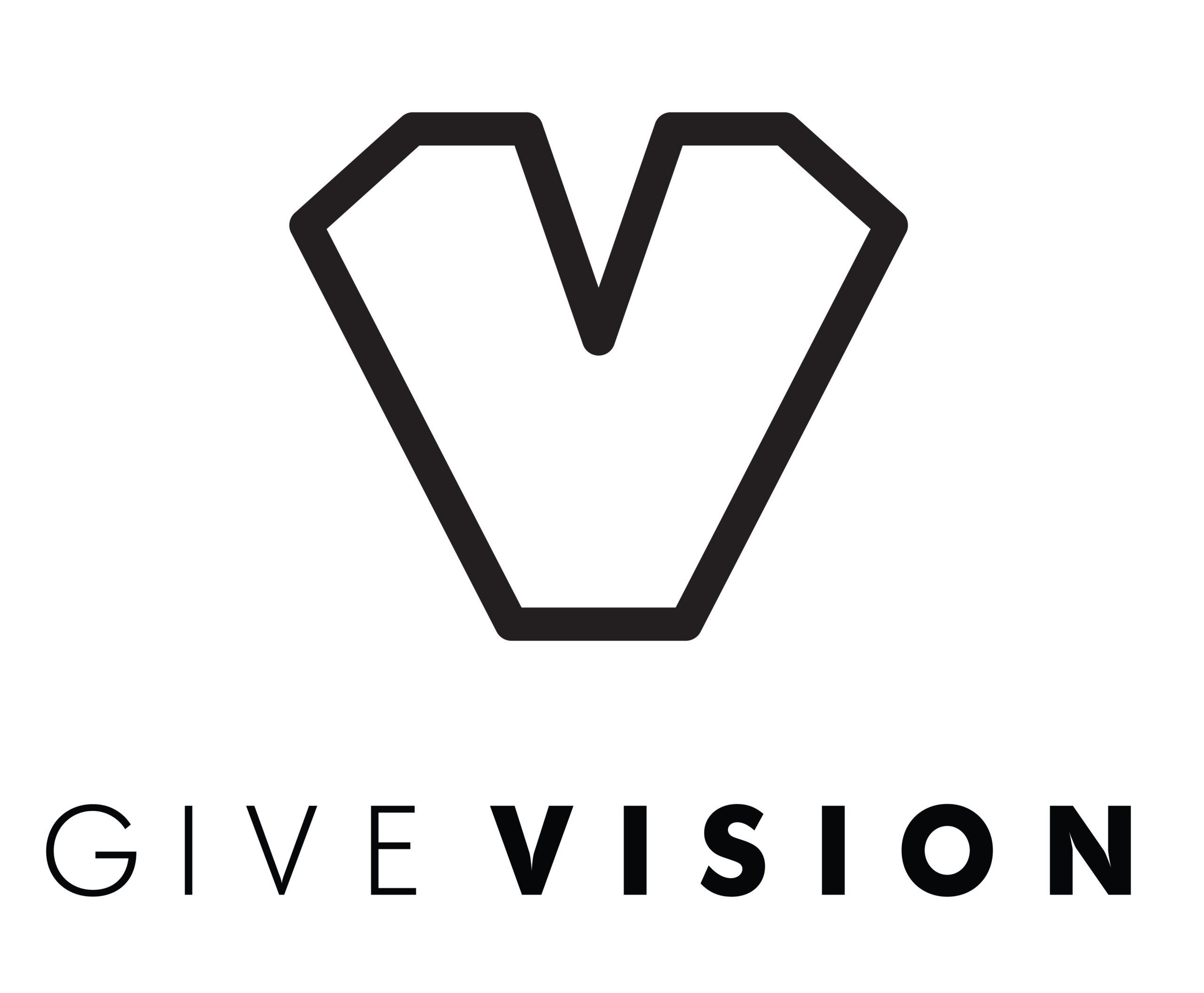 Logo Give Vision