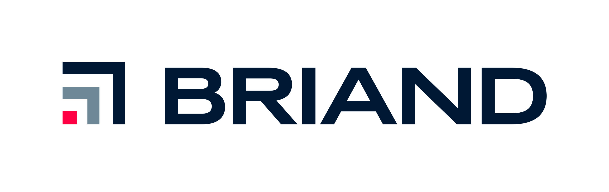 LOGO BRIAND