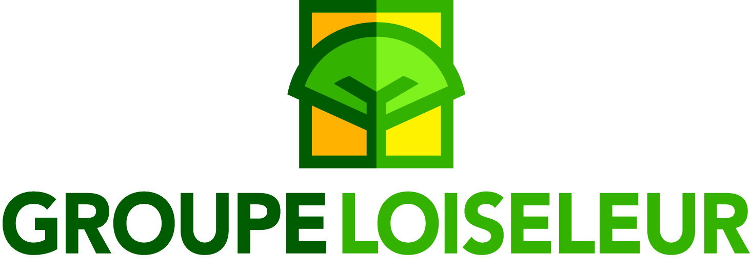 logo Groupe Loiseleur